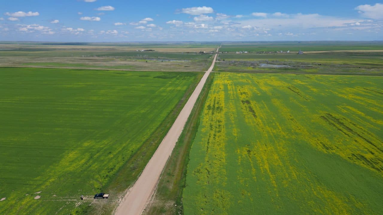 Fields stretching to the horizon
